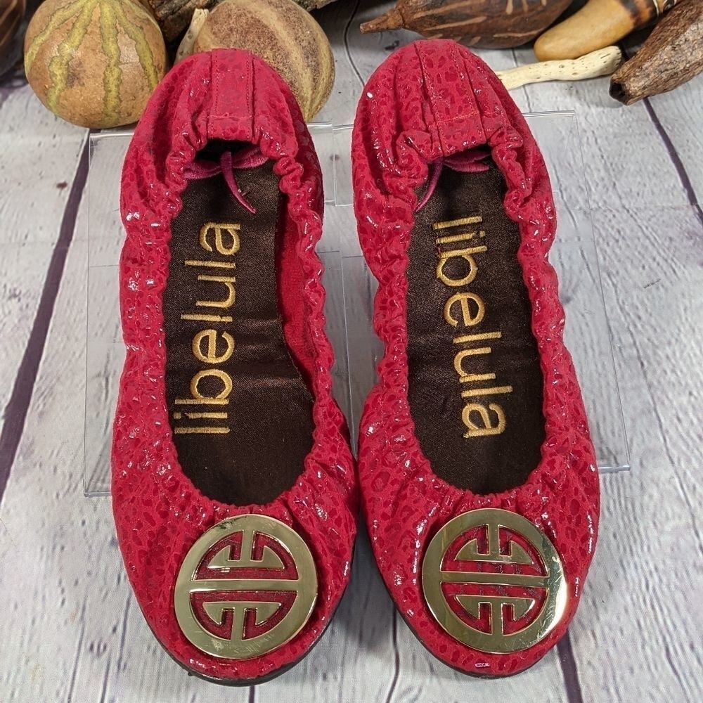 NWOT - Libelula Ballerina Dance Shoes Ballet Flats